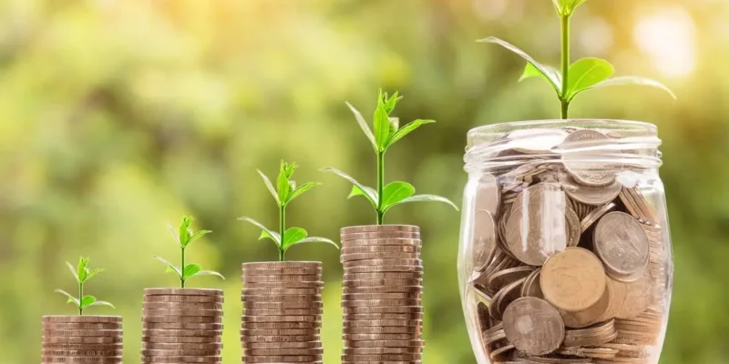 Your Guide into Passive Investing