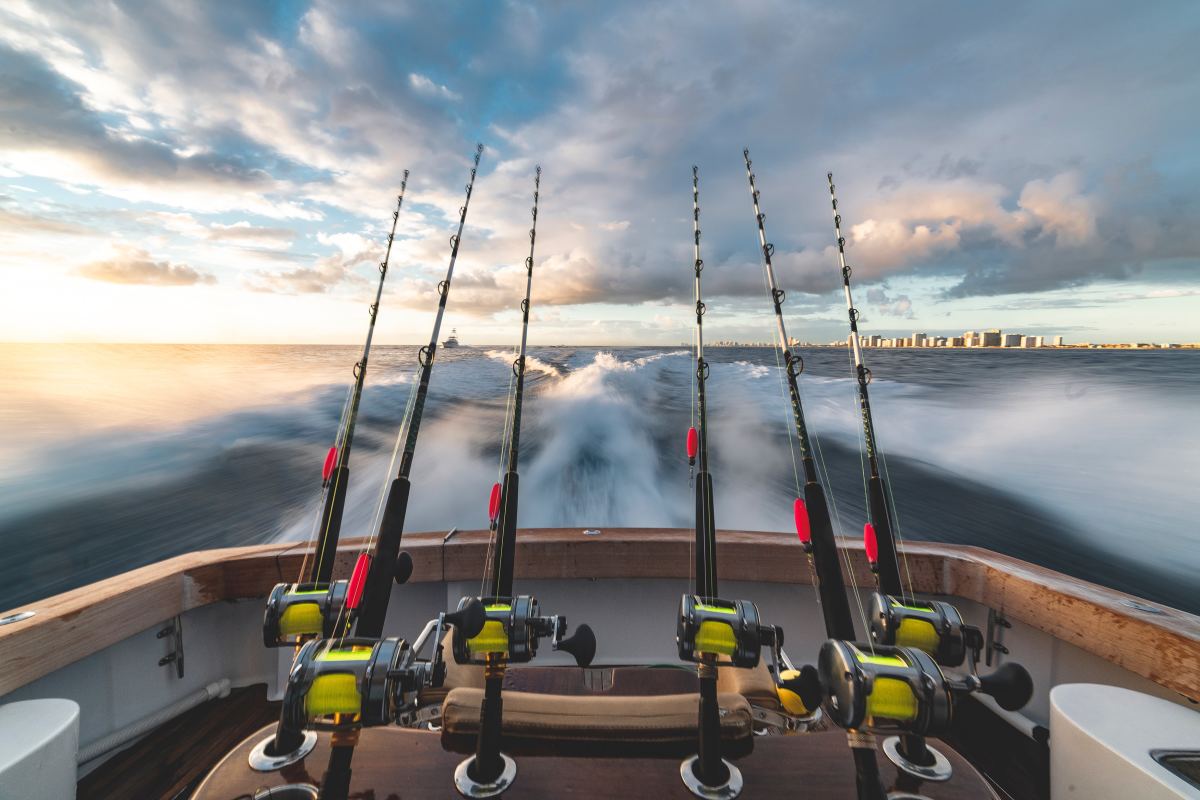 Make A Living With Fishing In Your Local Area