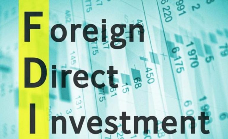 Foreign Investment and its Effects on Economic Growth in Developing Countries