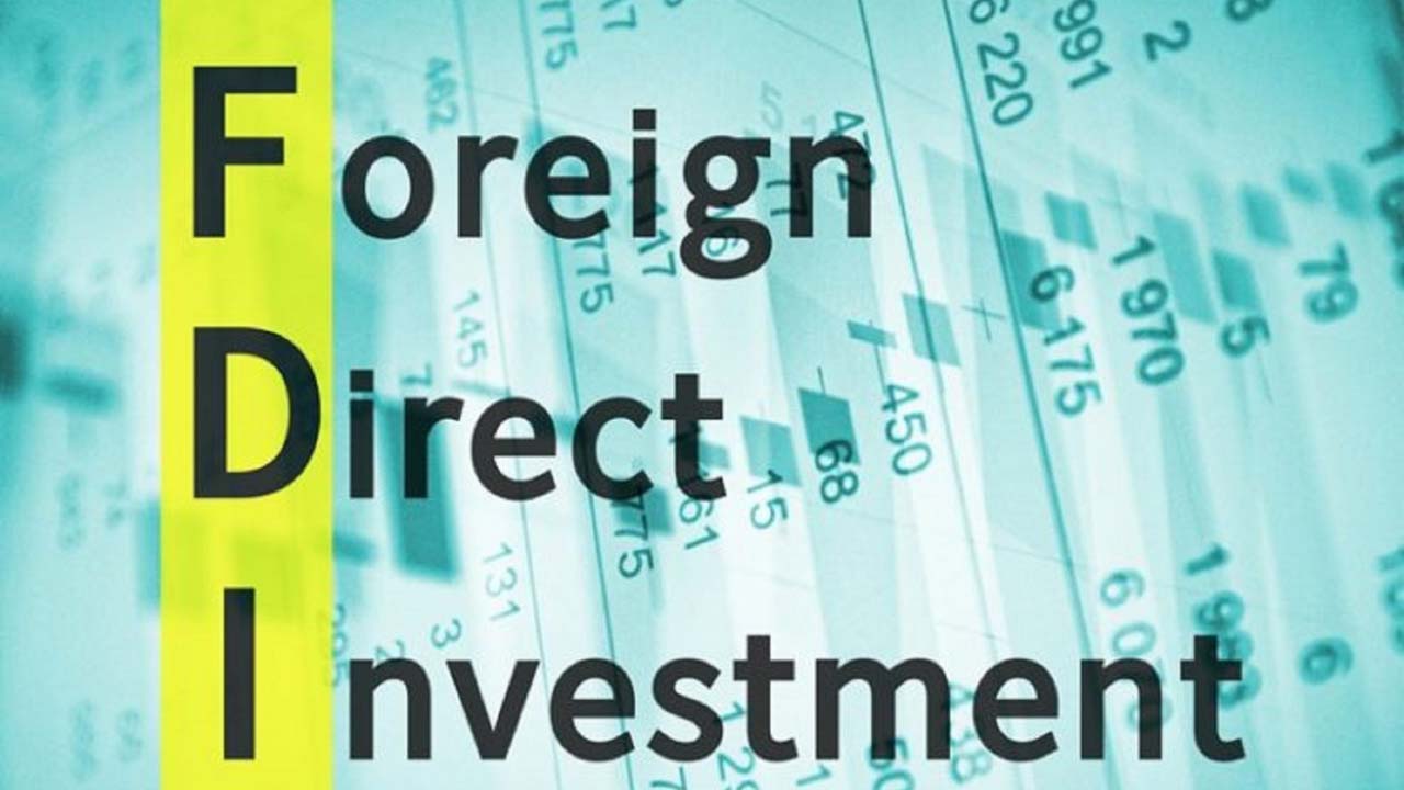 Foreign Investment and its Effects on Economic Growth in Developing Countries Foreign Investment and its Effects on Economic Growth in Developing Countries