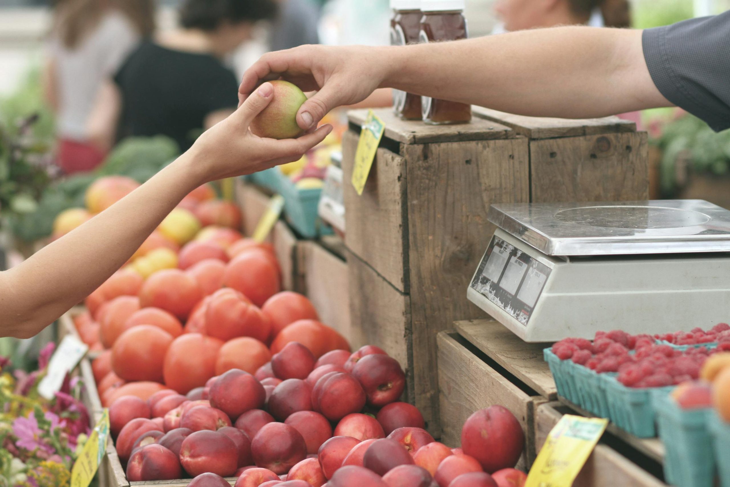 Best Strategies to Cut Your Grocery Bill by $50