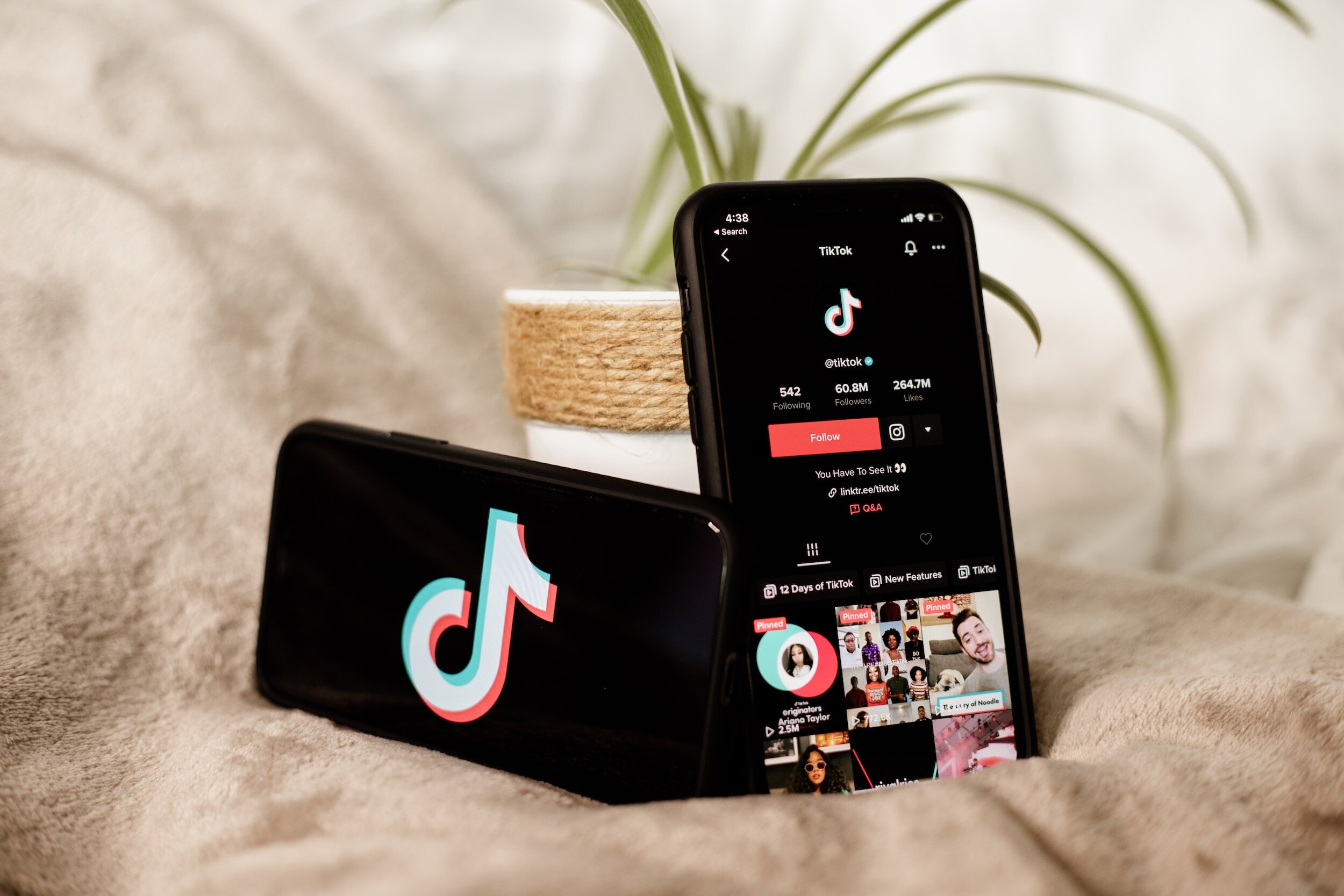 How to Earn Money On TikTok Using Your Following