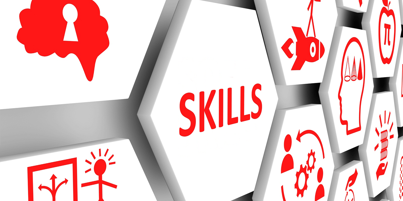 5 Top Skills You Need to Secure a Job in Finance