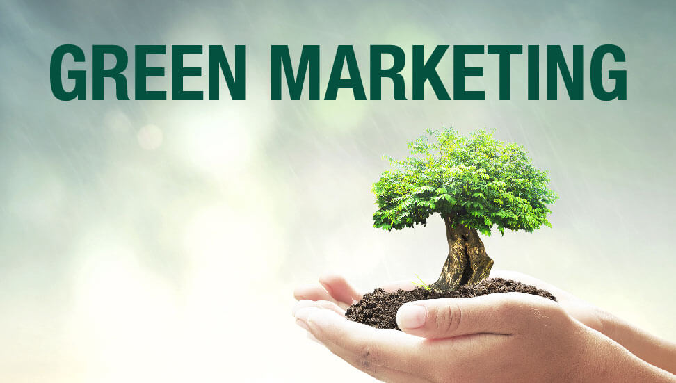 What is Green Marketing and Its Importance?