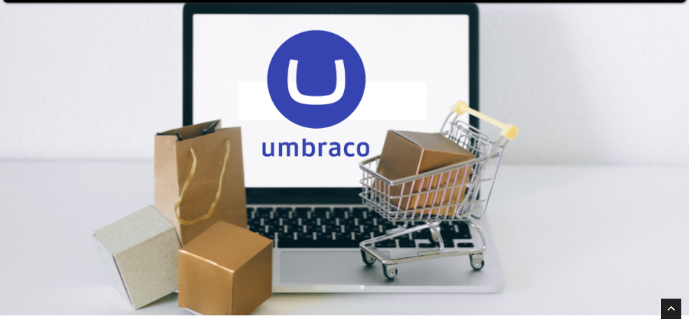7 Key Benefits of Hiring a Umbraco Development Company for Your eCommerce Store 7 Key Benefits of Hiring a Umbraco Development Company for Your eCommerce Store