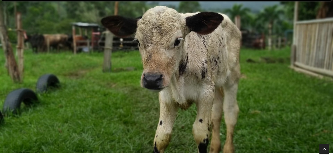 How to Start Your Micro Farm