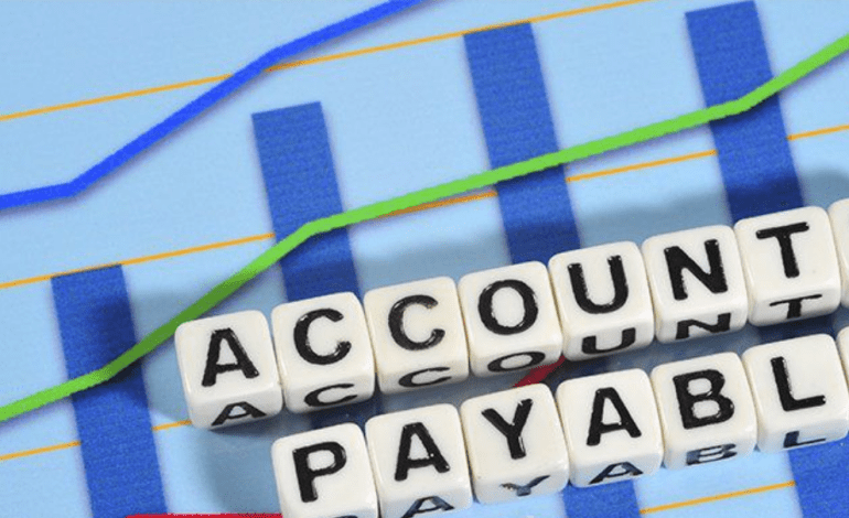 What is Accounts Payable Software?