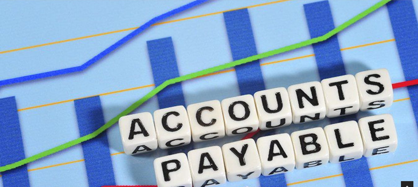 What is Accounts Payable Software?