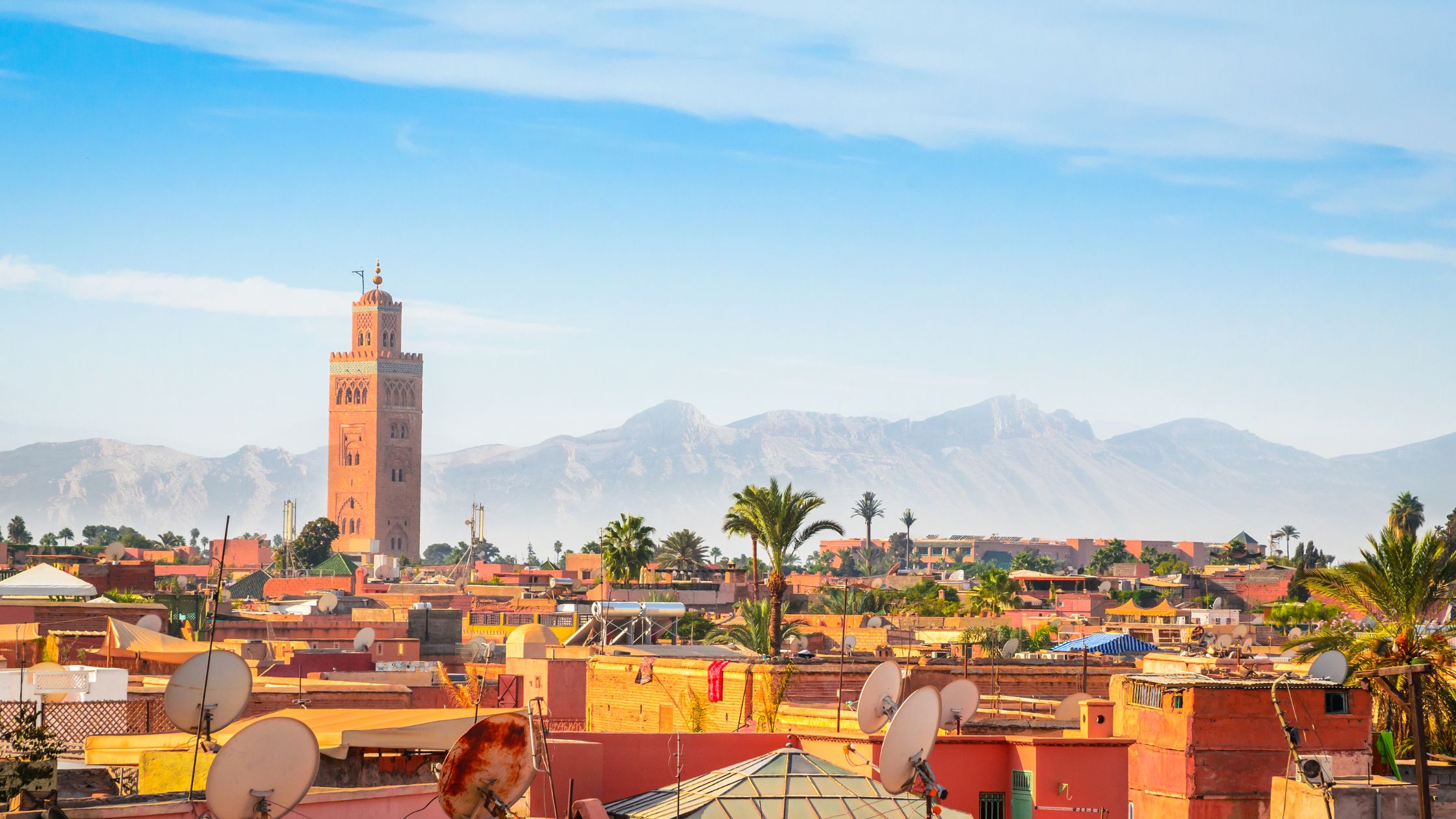 What is the Best Job in Morocco? What is the Best Job in Morocco