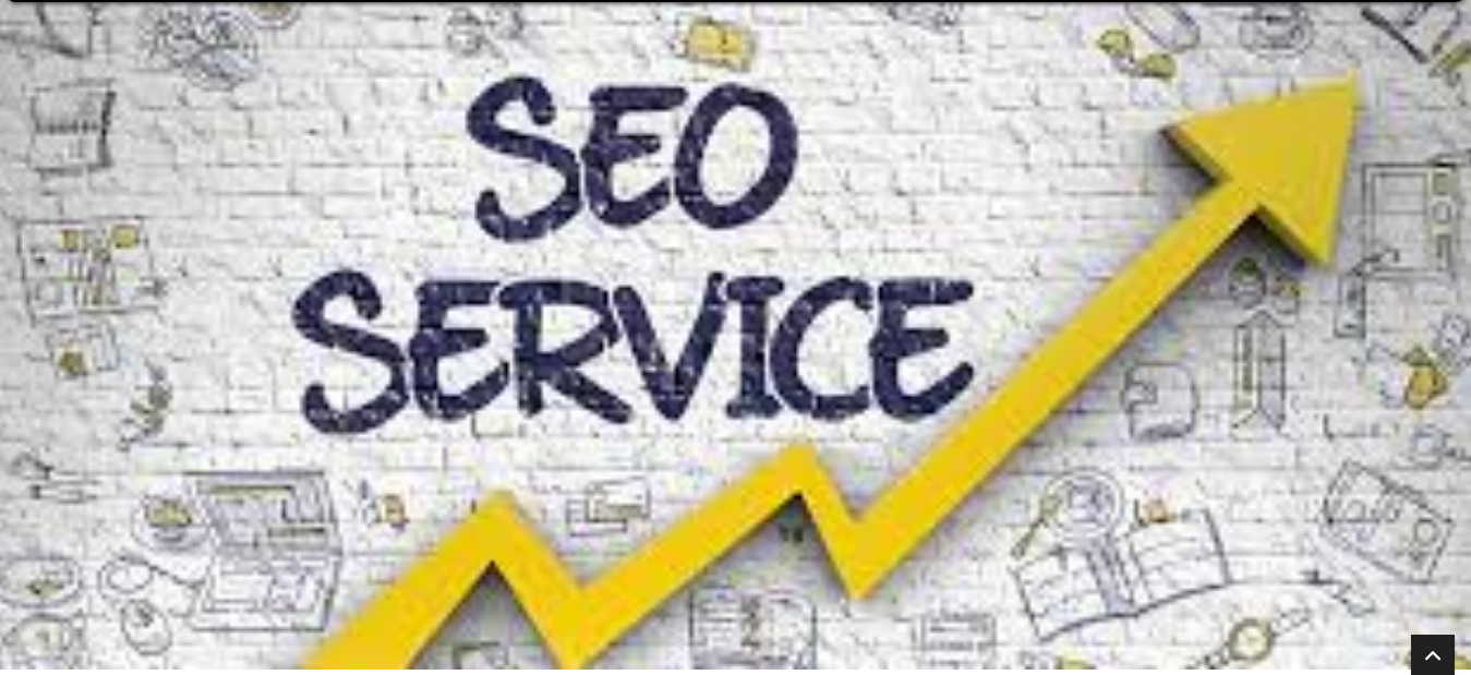 Why a Professional SEO Agency is Important for Your Business