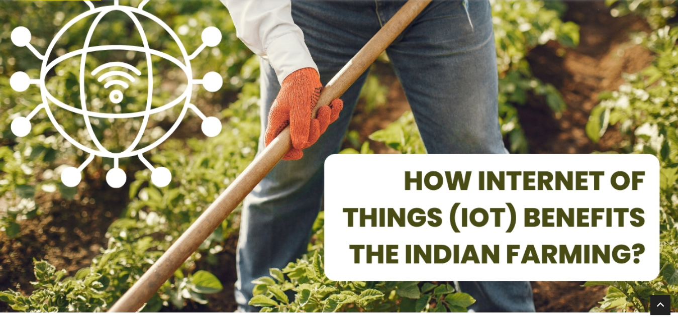 Exploring the Benefits of IoT in Indian Farming Operations
