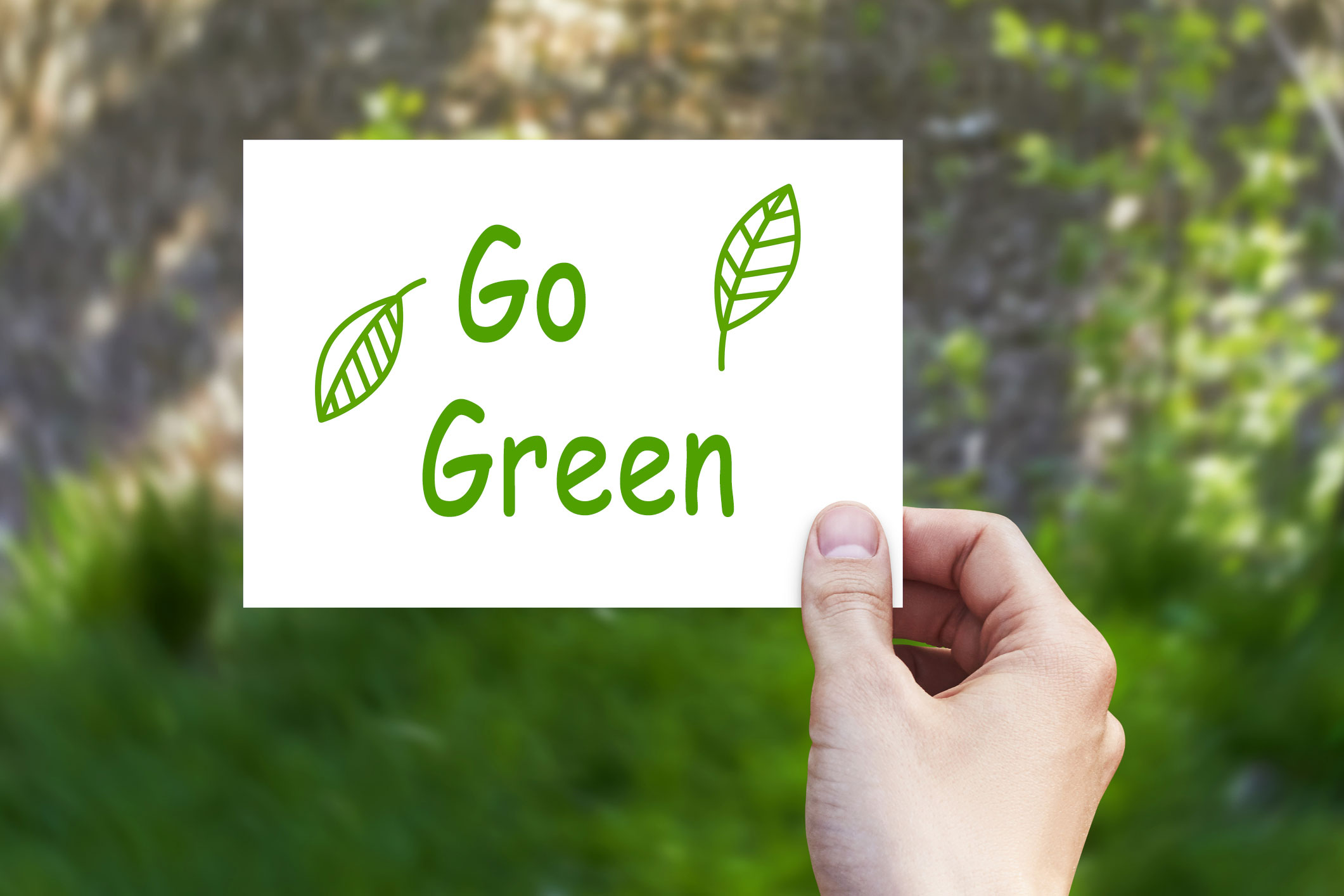 What Are Examples of Green Products