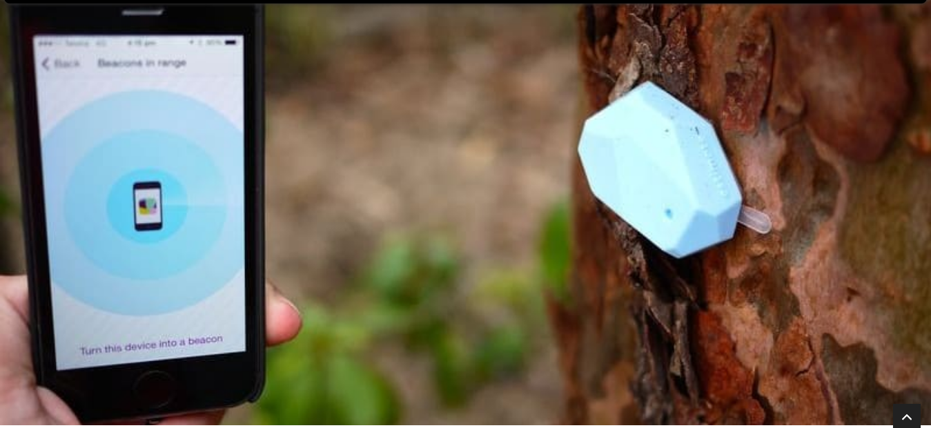 What is a Beacon in Digital Marketing?