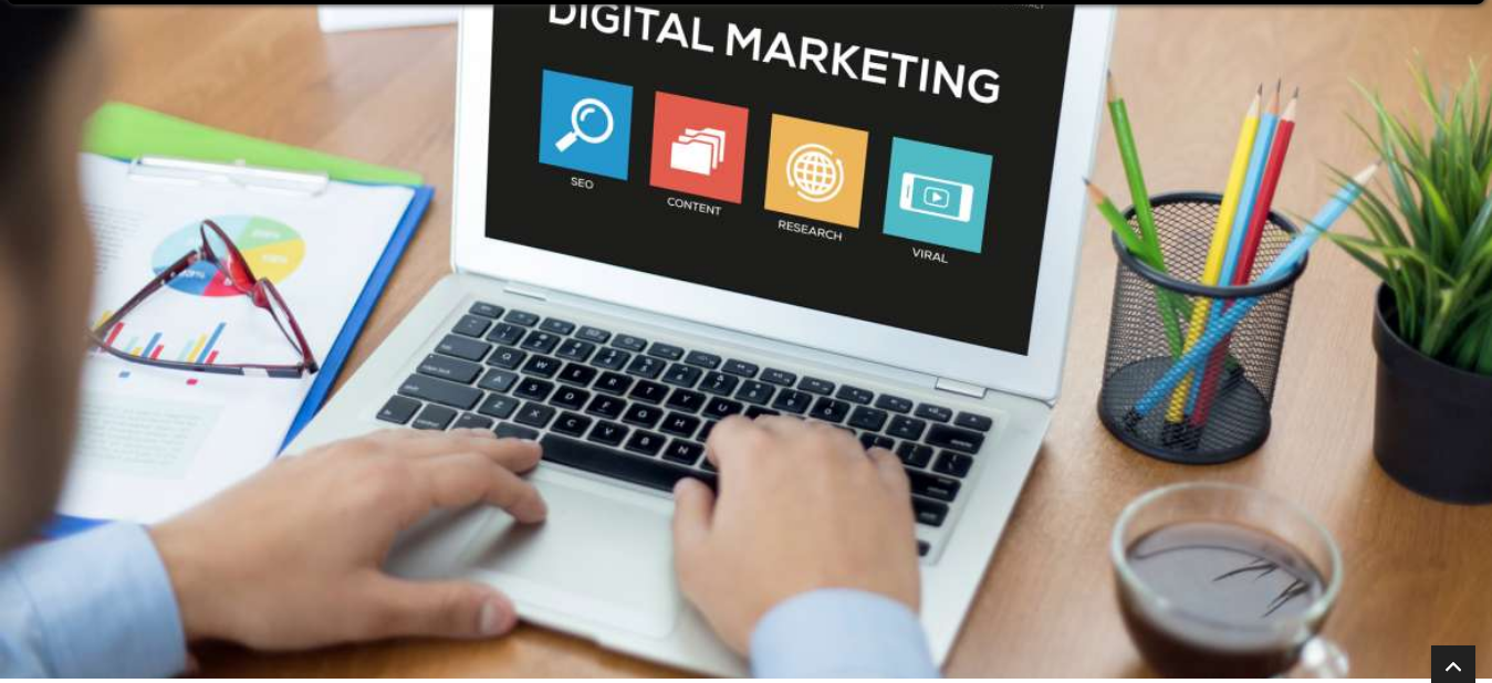 What is the Fees for Digital Marketing Course? What is the Fees for Digital Marketing Course?