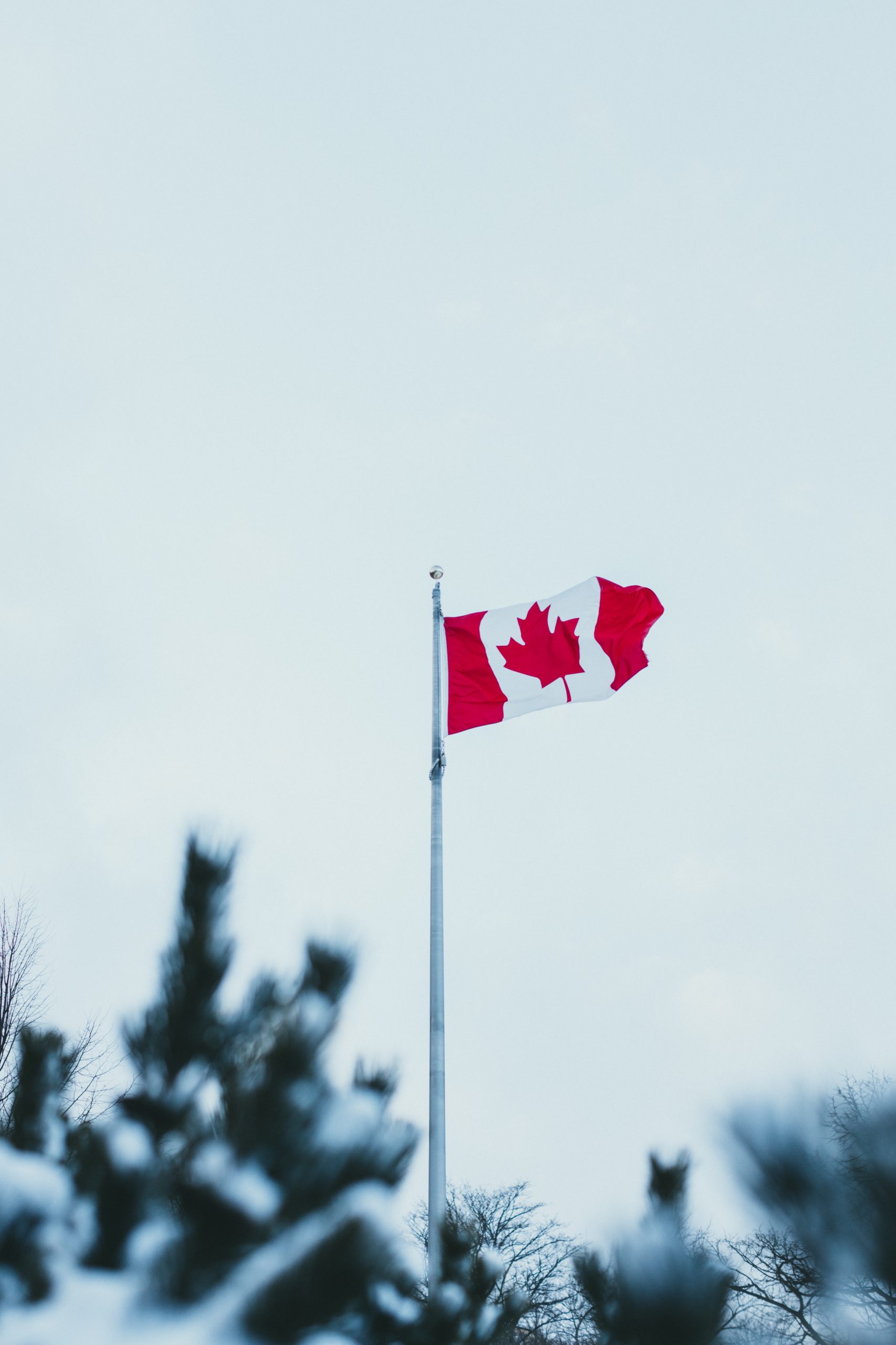 Highest Paying Part-Time jobs in Canada for International Students