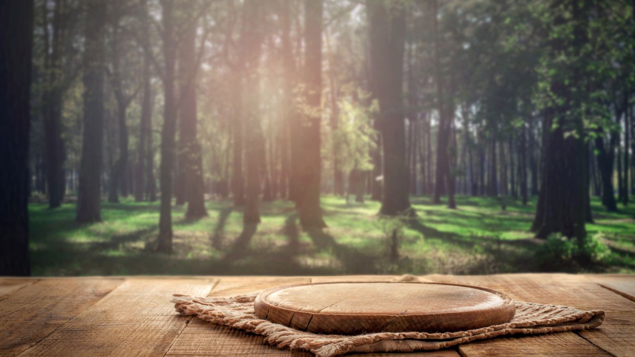What Are Sustainable Wood Products