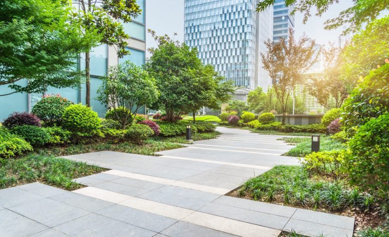 What is Sustainable Landscaping