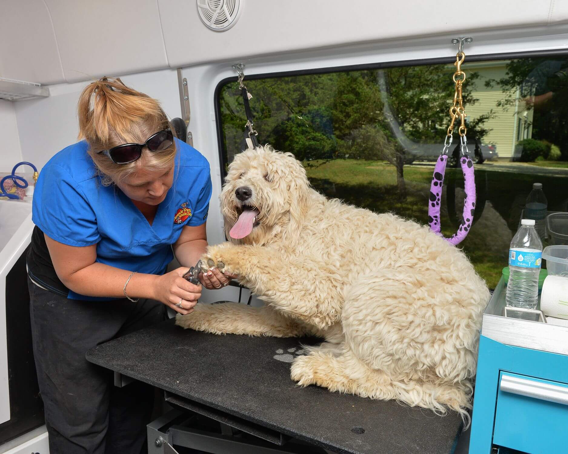 Mobile Pet Grooming