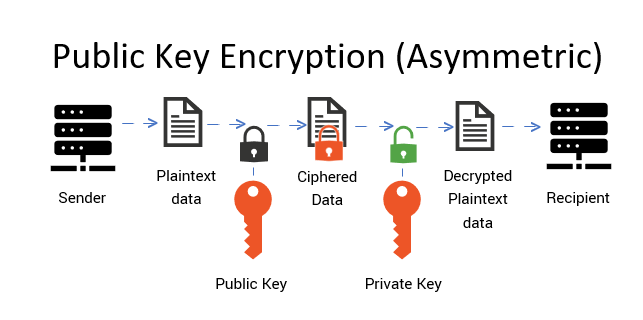 What Are Public Key Certificates