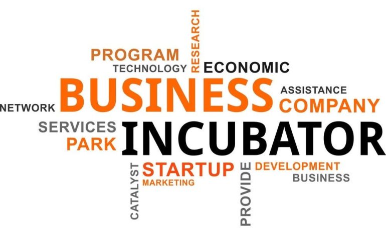 What is a Business Incubator