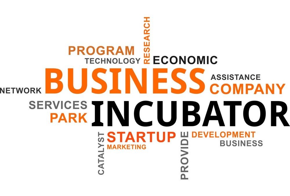 What is a Business Incubator? What is a Business Incubator