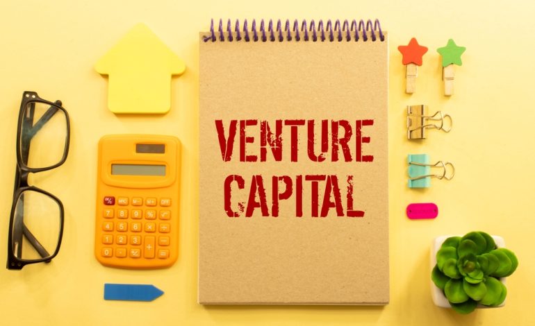 How Does Venture Capital Drive Innovation in Established Organizations