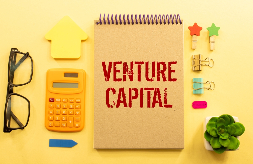 How Does Venture Capital Drive Innovation in Established Organizations? How Does Venture Capital Drive Innovation in Established Organizations
