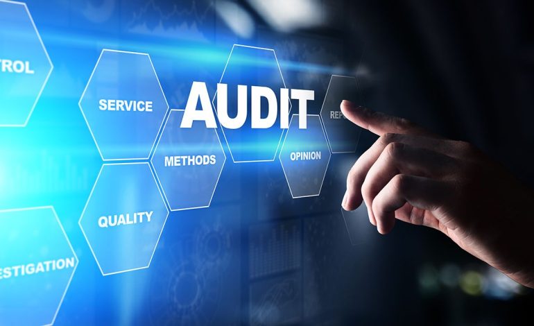 How to Audit Software as a Service