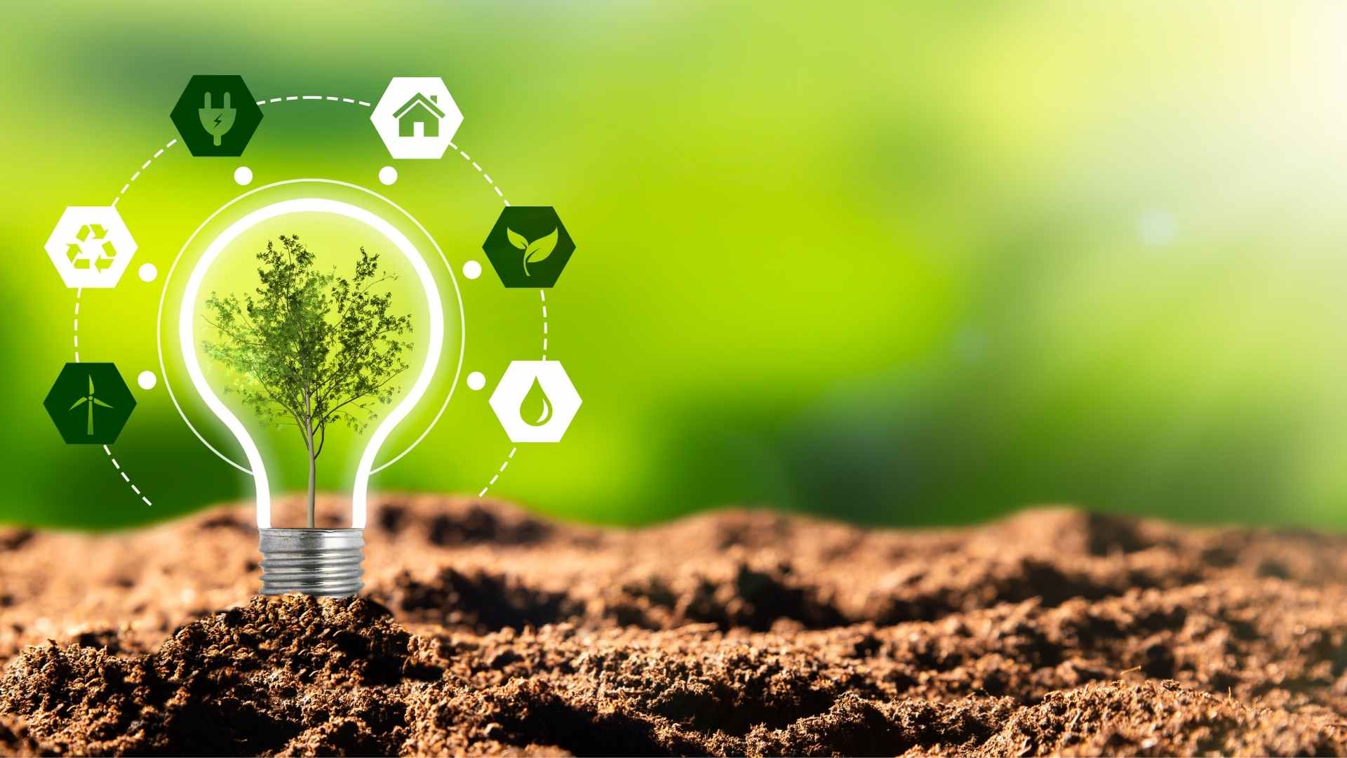 How to Sustain Enterprise in The Innovative Landscape