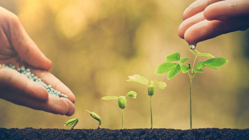 Nurturing Brand Relationship