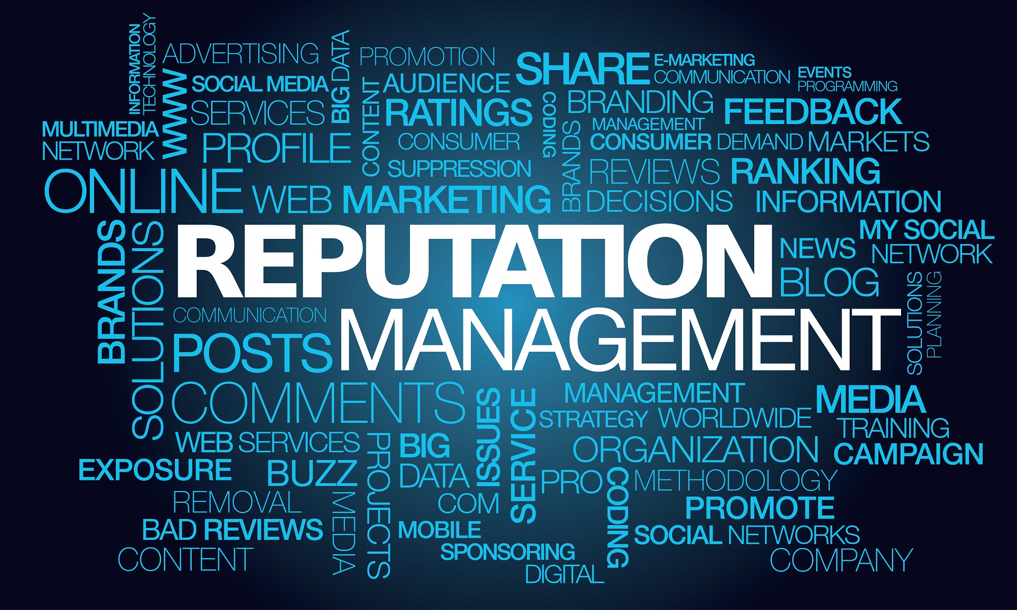 The Importance of Reputation Management