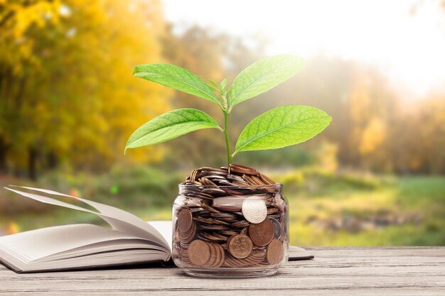 The Role of Education and Financial Literacy in Establishing Generational Wealth