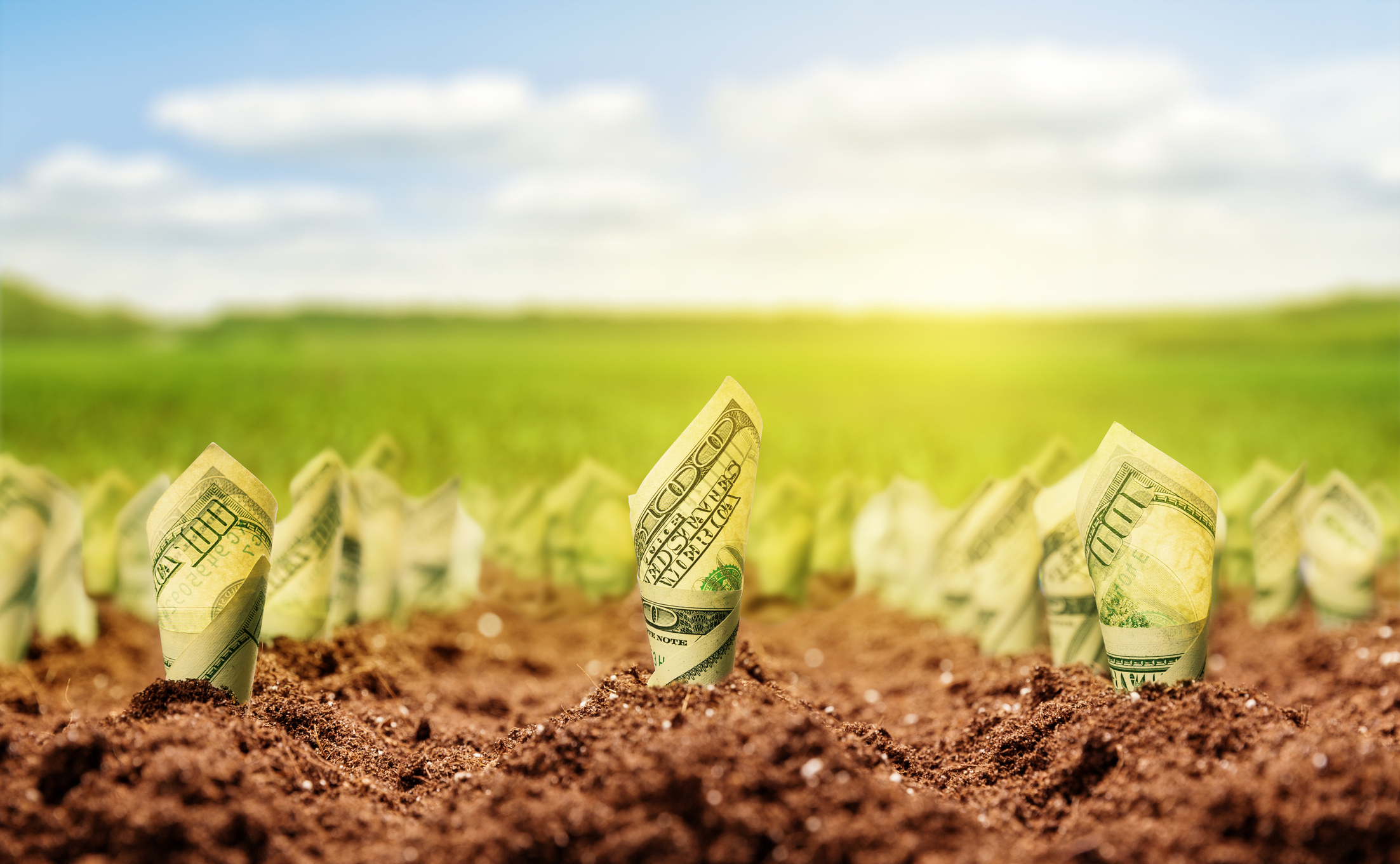 The Ultimate Guide to Dividend Investing for Long-Term Wealth