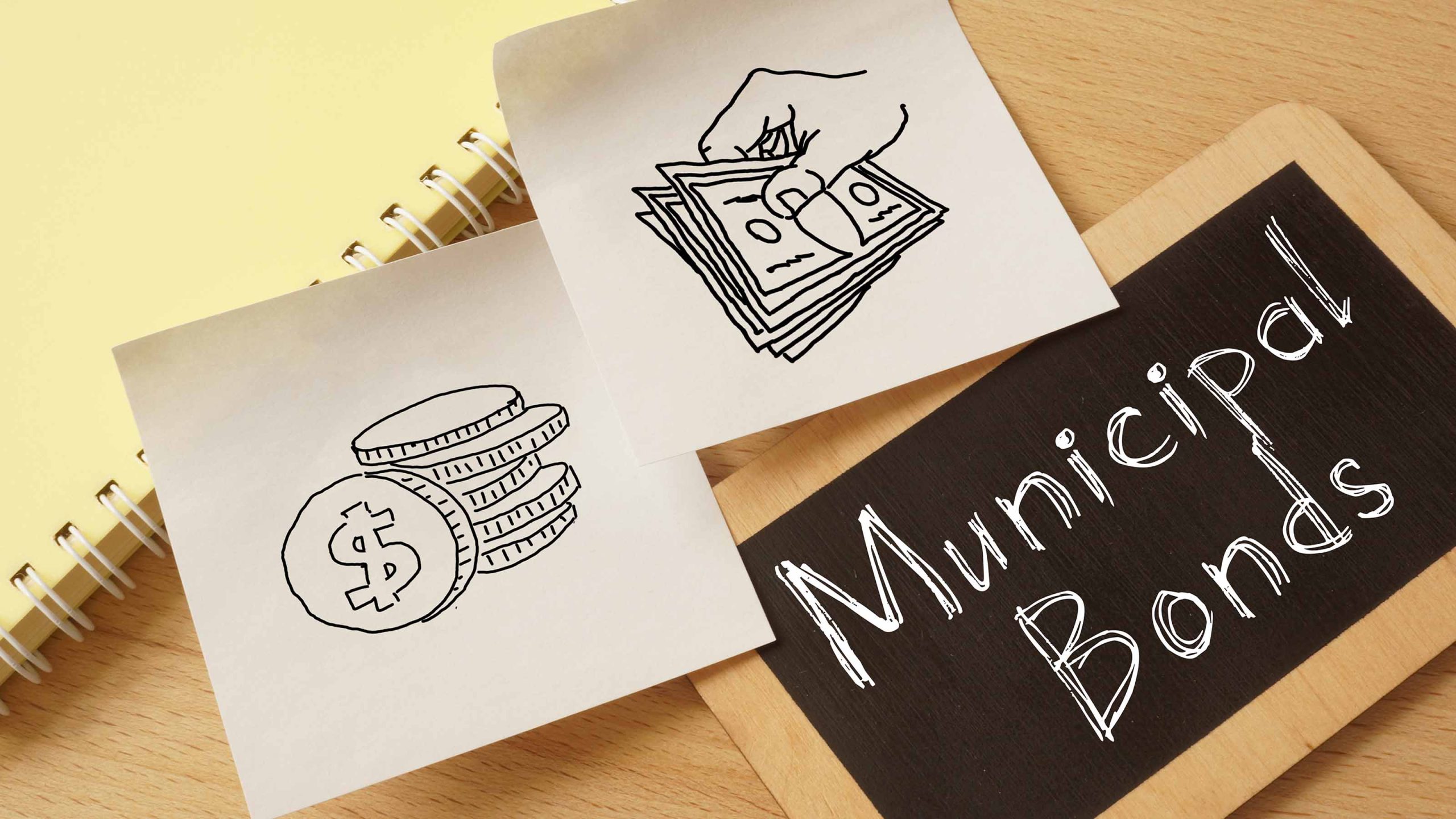 Municipal Bond ETFs vs Individual Bonds: Pros and Cons for Investors