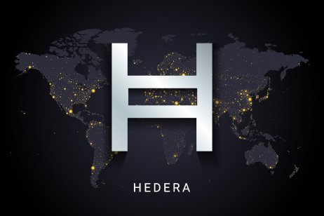 Should I Invest in Hedera?