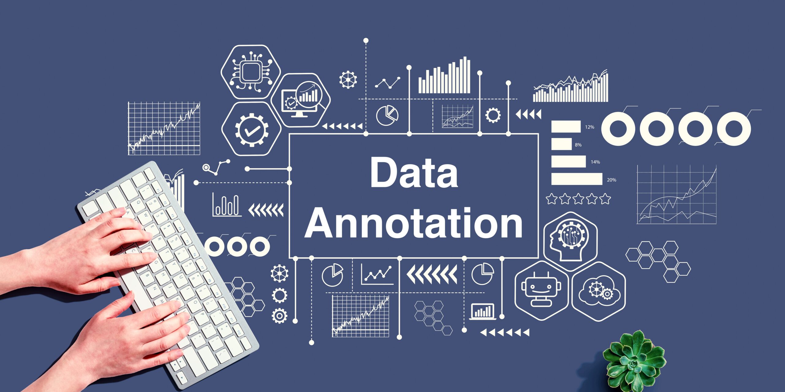 Why is Human Oversight Critical in Data Annotation