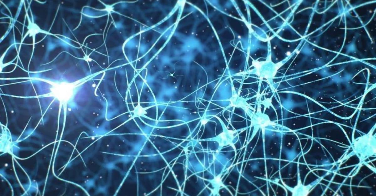 The Role of Muscle Memory in Gaming Skill Development The Role of Muscle Memory in Gaming Skill Development