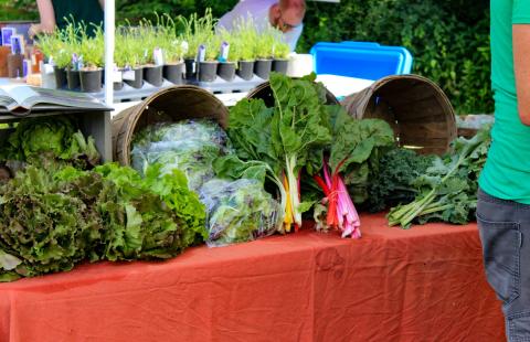 How to Start a Farmers Market in Your Community