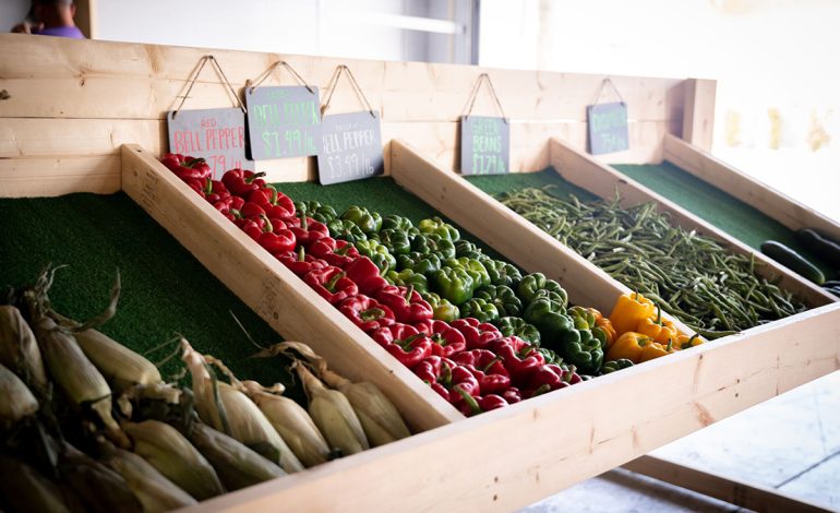 Top 10 Farmers Market in the US