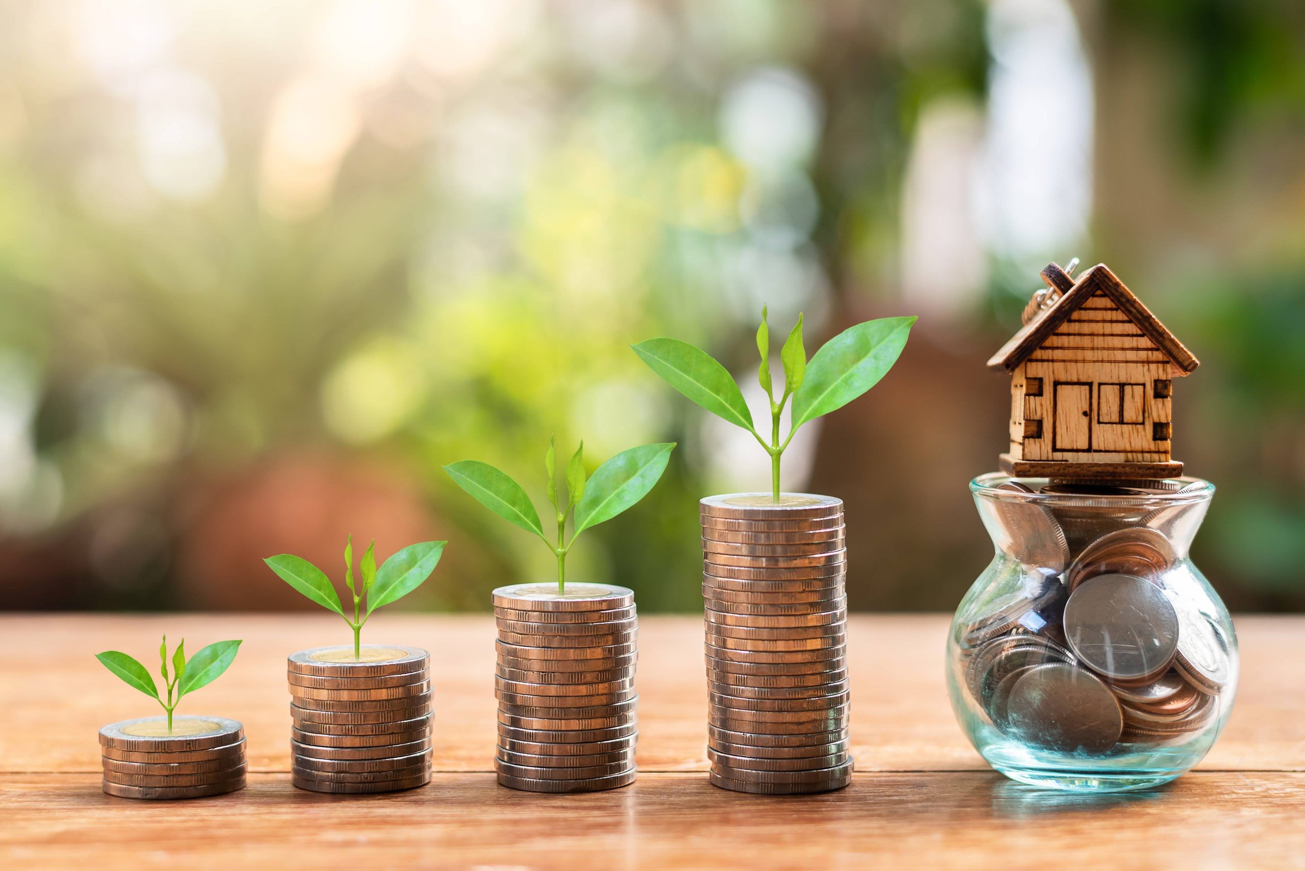 Top 10 Wealth Creation Strategies for Beginners