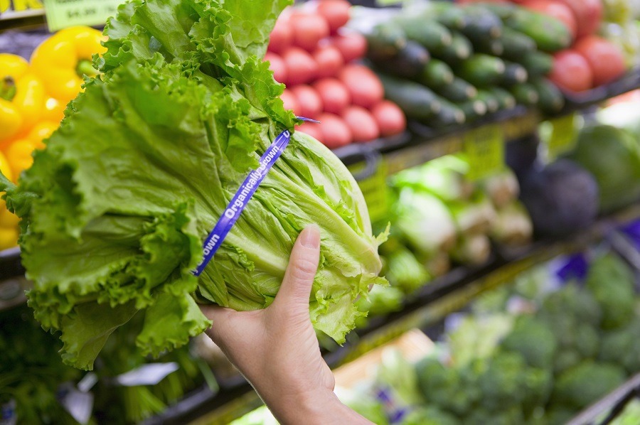 Farmers Market vs Grocery Store: Which is Better?