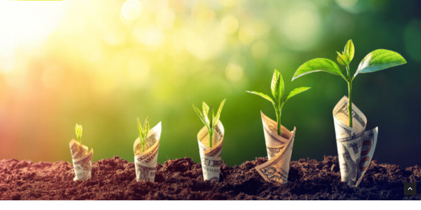 Top 24 Incremental Income Ideas to Generate Real Wealth