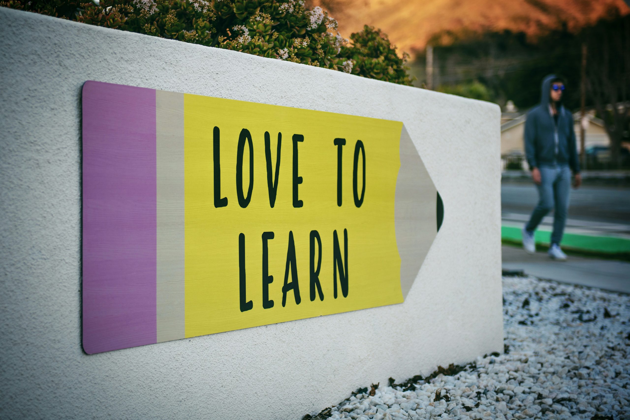 LearnDash vs. Moodle™: Which LMS Best Fits Your Needs?