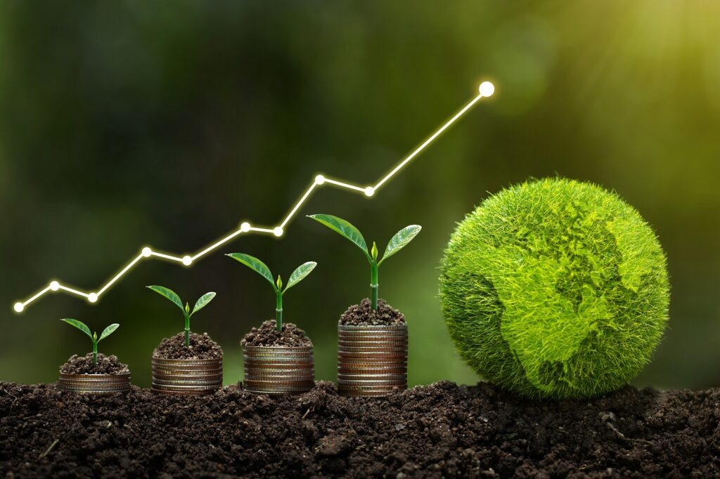 The Role of Multilateral Development Banks in Project Finance