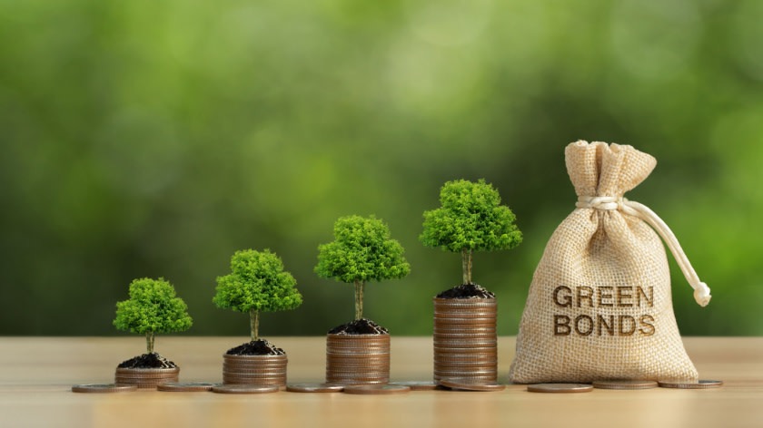 Green Bonds and Sustainable Project Finance: The Future of Investment