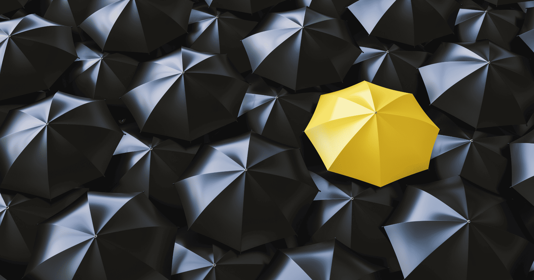 How to Stand out in the Overcrowded Fashion Market How to Stand out in the Overcrowded Fashion Market