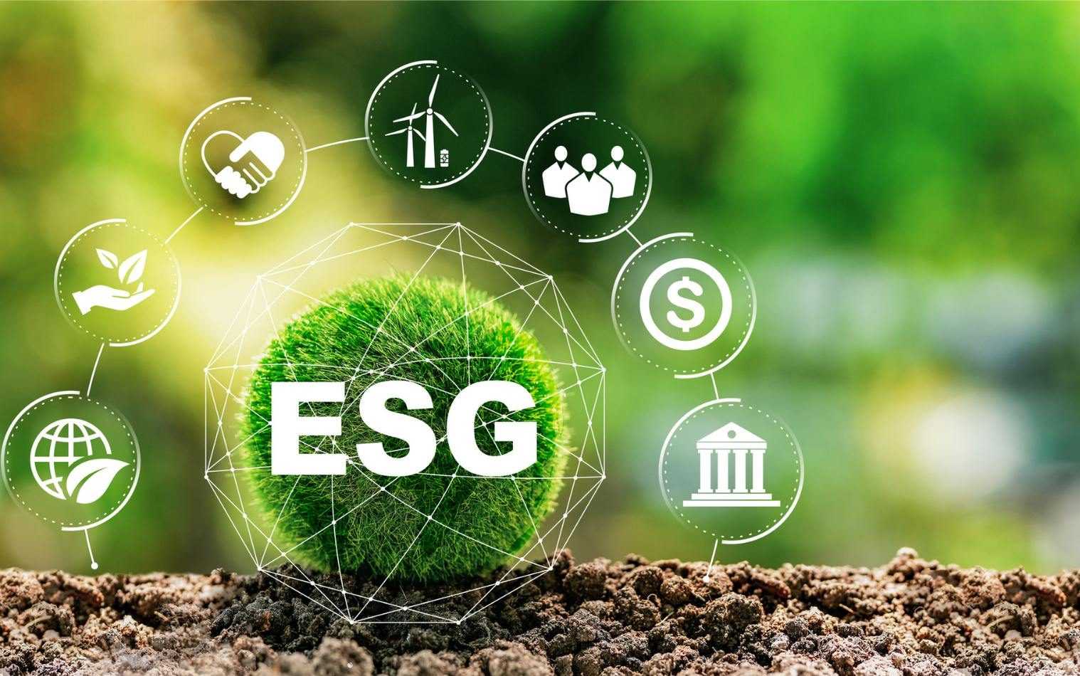 The Impact of ESG (Environmental, Social, and Governance) on Project Finance