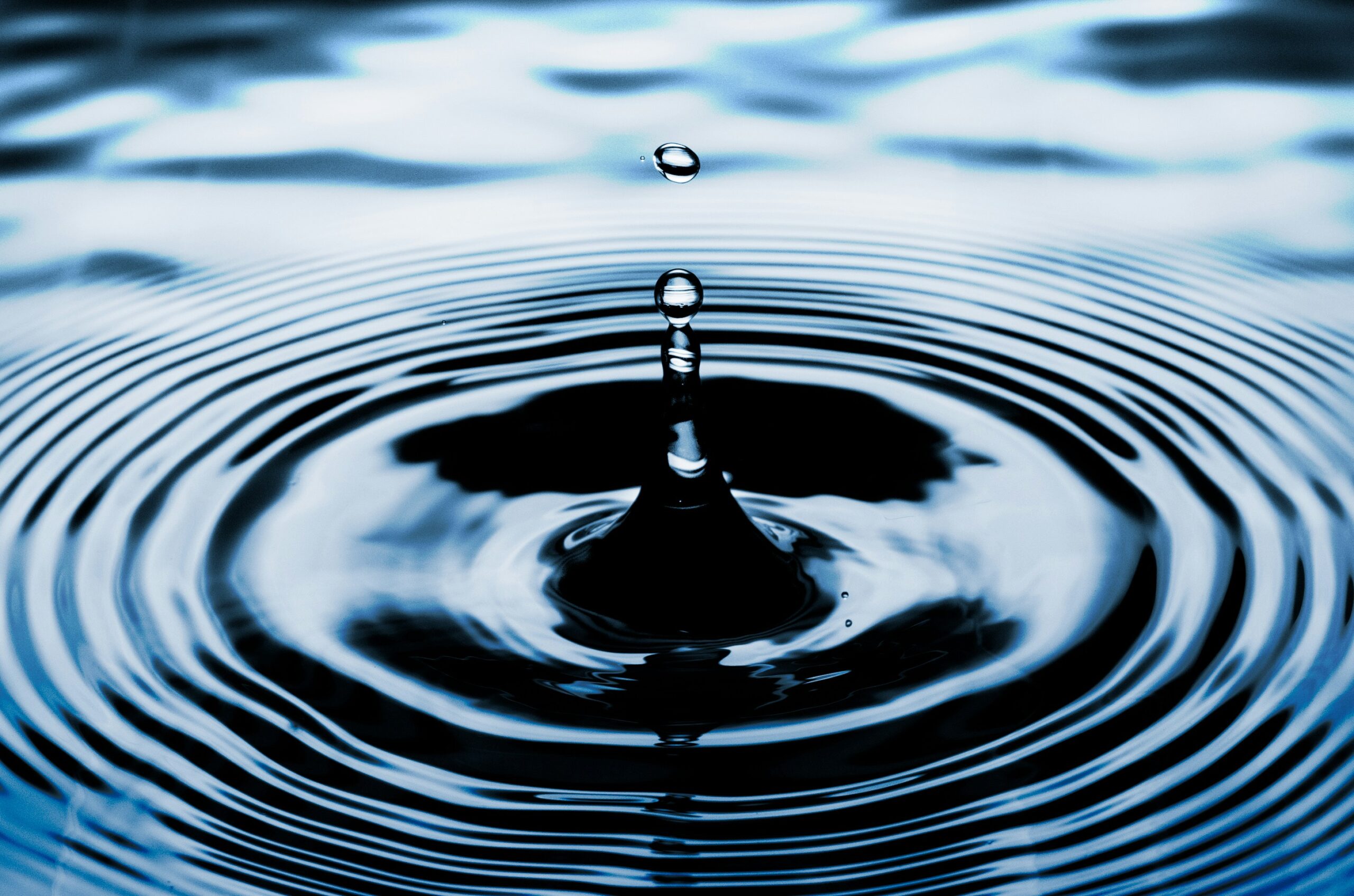 XRP Price