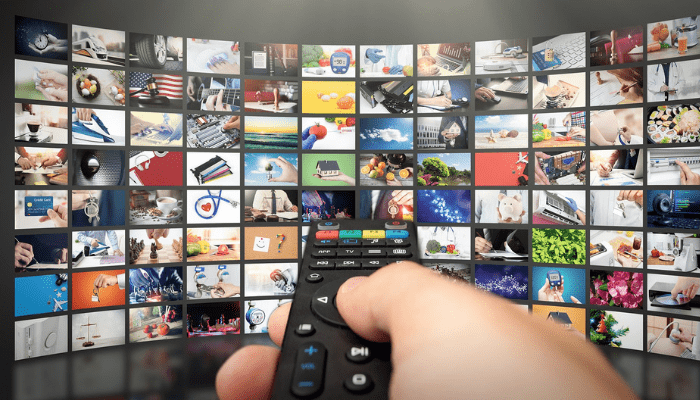 The Economics of Streaming Platforms The Economics of Streaming Platforms