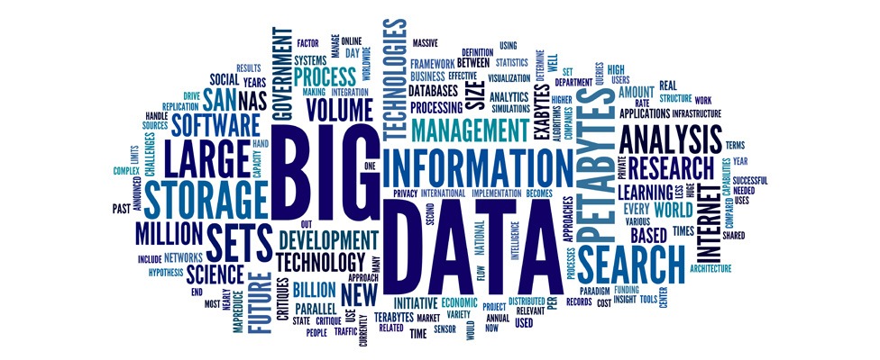 The Role of Big Data in Economic Planning The Role of Big Data in Economic Planning